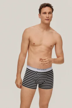 Boxer Punto Rayas^Pedro del Hierro New