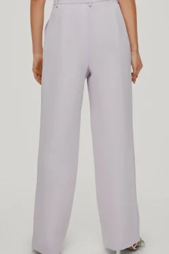 Manuela Pantalon Con Pinzas^TFP by Tamara Falco Sale