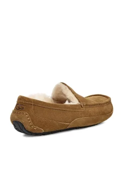 Slipper Cerrada Suede Ascot. Marca^Ugg Hot